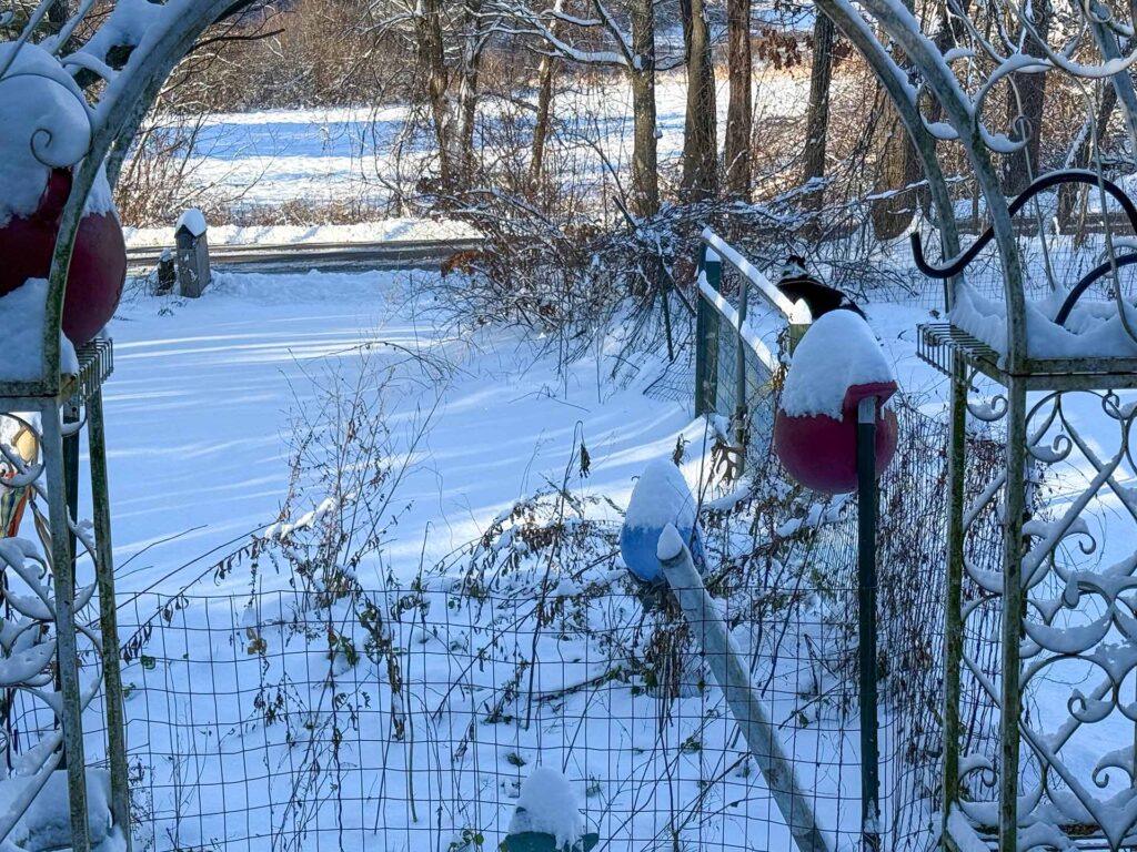 the old farm entrance in the snow