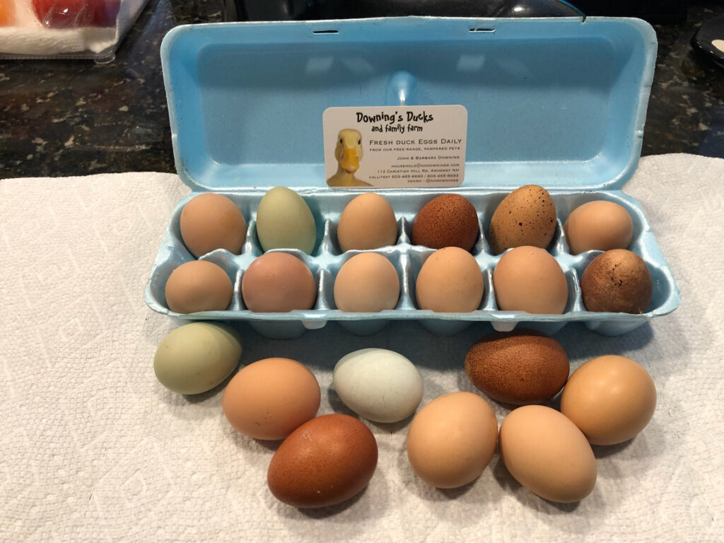 Picture of our multi-color chicken eggs in green, white and brown