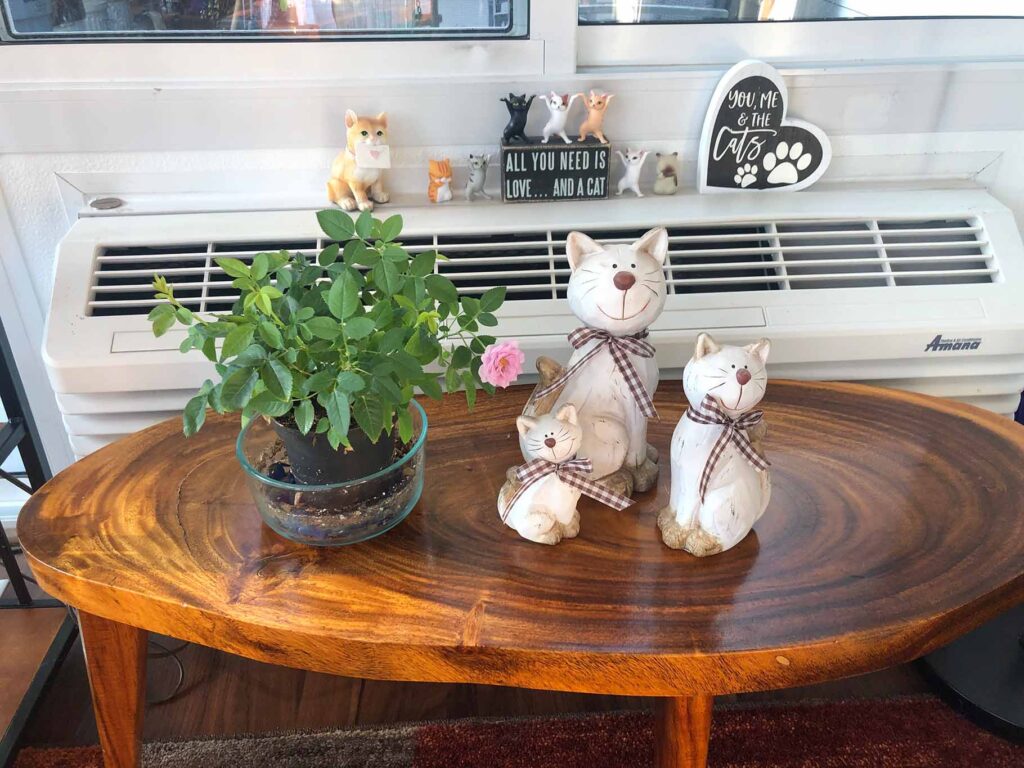 cat kitsch
